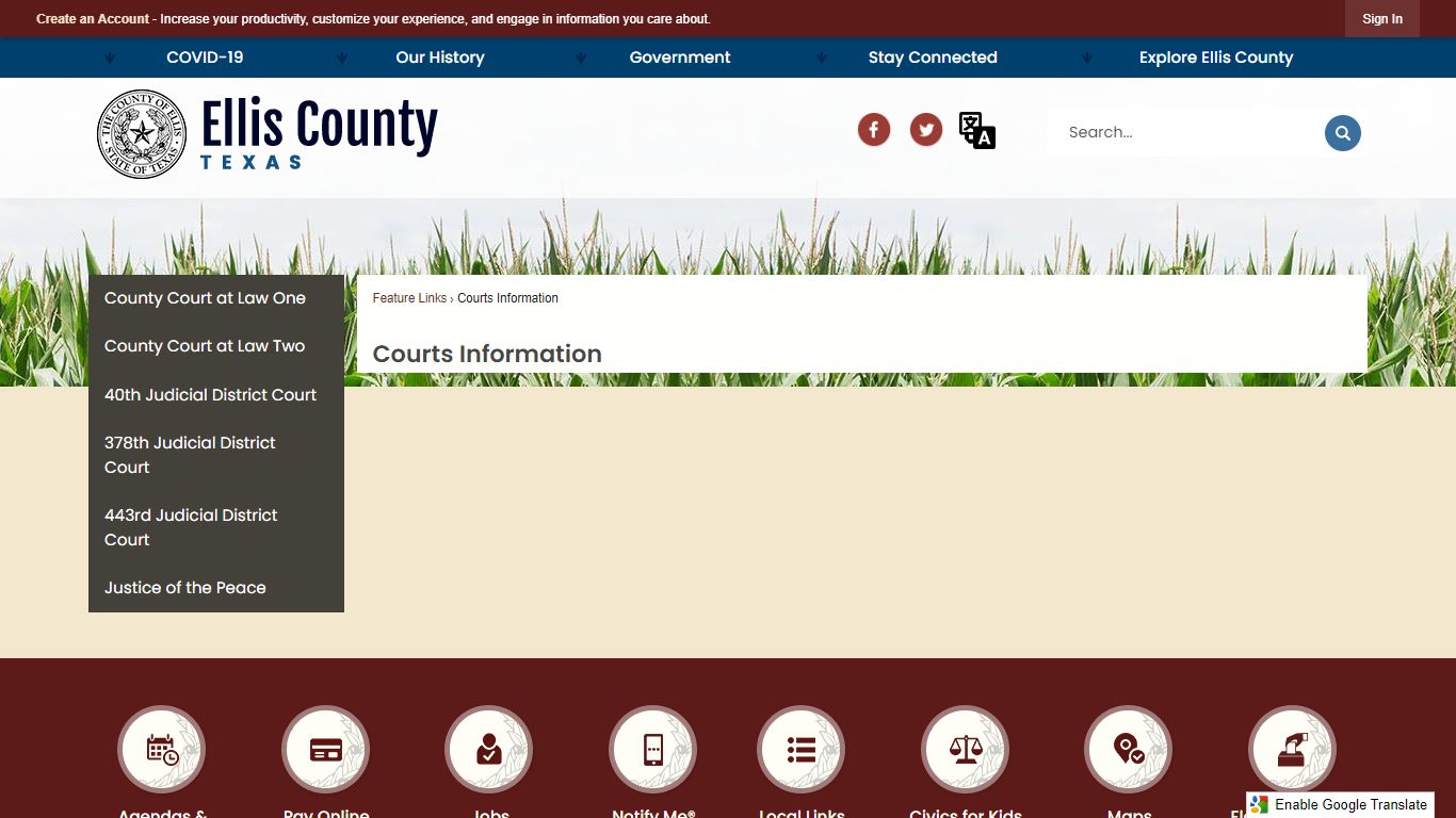 Courts Information | Ellis County, TX Official Website
